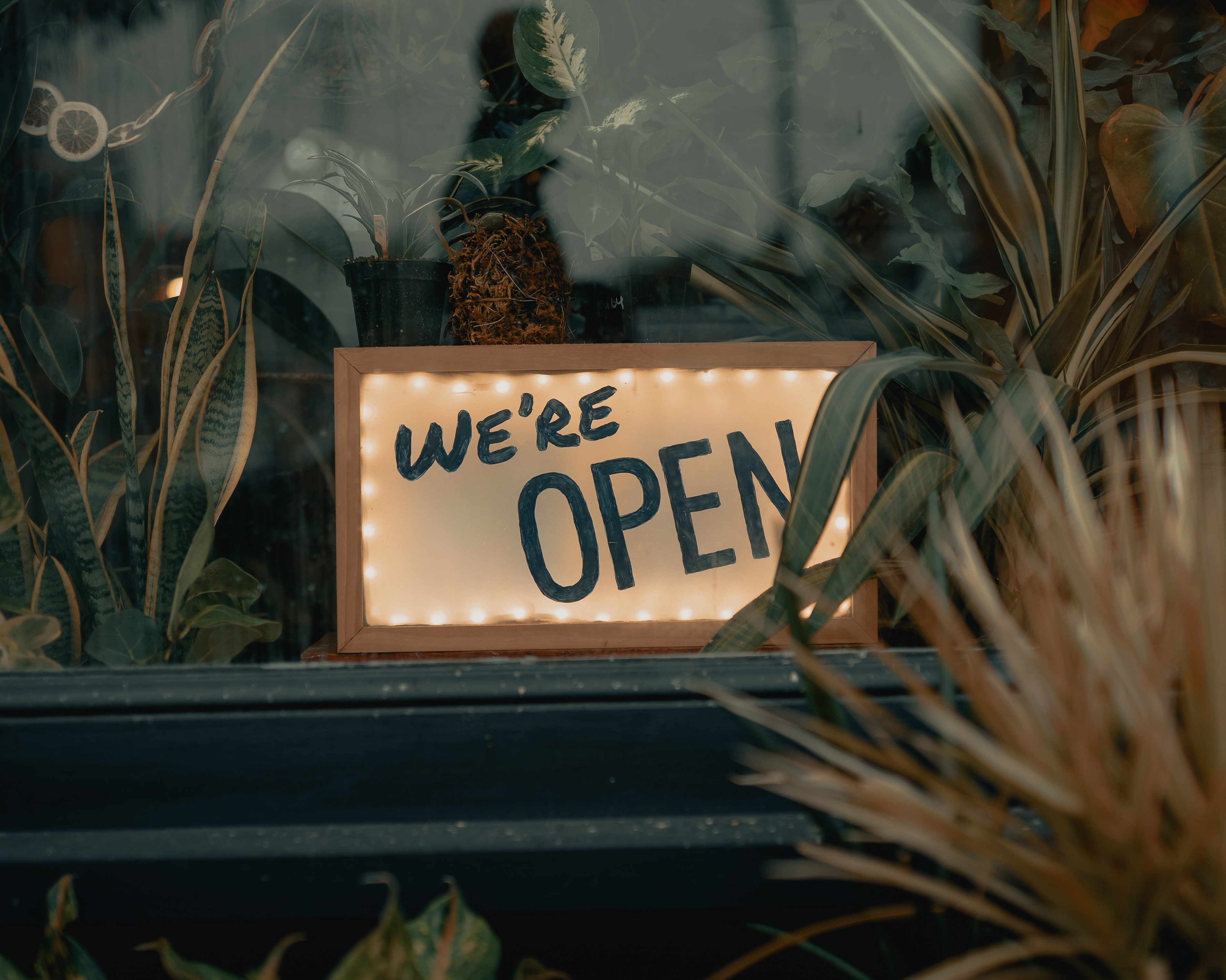 A sign in a business's window that reads "we are open."